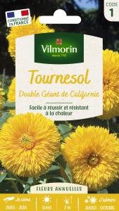 Tournesol Double Géant de Californie